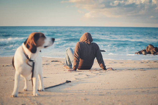 A shallow focus shot of a male in a black jacket sitting on a sandy beach near a beagle dog - Foto, afbeelding