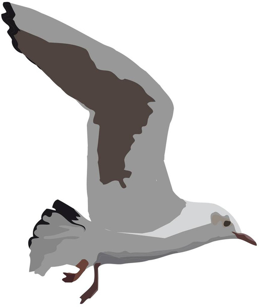 A 3d rendering of a tern on white background - Zdjęcie, obraz