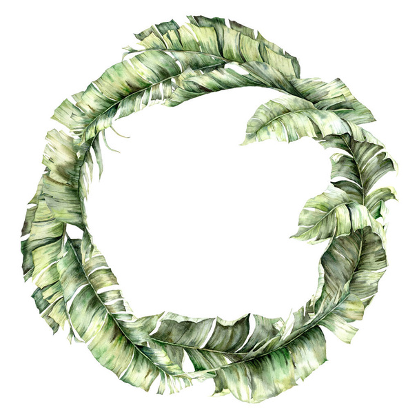 Grinalda tropical aquarela com folhas de banana. Verde da selva pintado à mão isolado no fundo branco. Ilustração floral para design, impressão, tecido ou fundo. Cartão de modelo com folhas de palma
. - Foto, Imagem