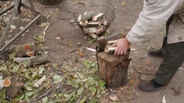 Isoisä venäläisessä kylässä pilkkoo puuta kirveellä kannolla. Syksyn kylän piha. Polttopuiden korjuu talveksi. - Materiaali, video