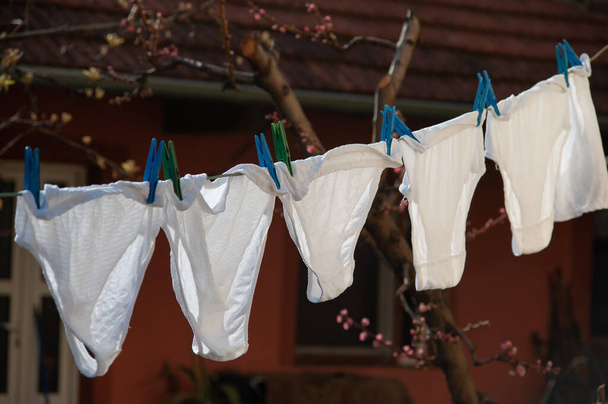 パンツの下だ。洗濯後、同じ白いパンツが庭に掛けられた。同じ下着乾燥屋外. - 写真・画像