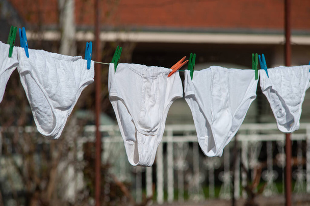 Alushousut. Identtiset valkoiset alushousut roikkuivat puutarhassa pyykin jälkeen. Sama alusvaatteet kuiva ulkona. - Valokuva, kuva