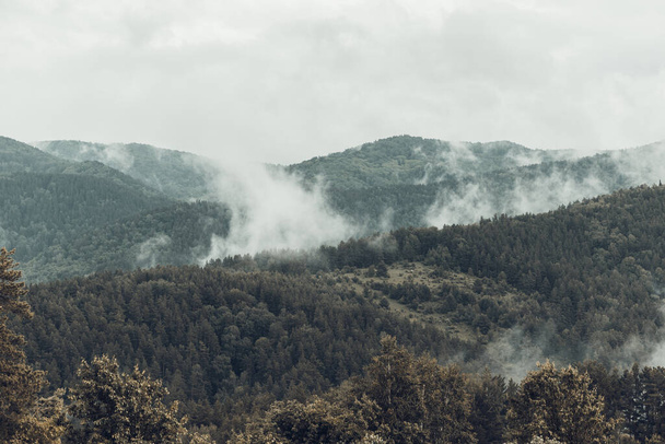 White smoke in the wooded taiga mountains from burning fire - Valokuva, kuva