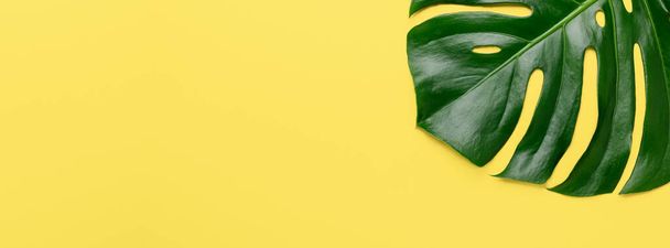 Tropical leaf Monstera on yellow background. Horizontal banner, mock up - Image - Фото, зображення