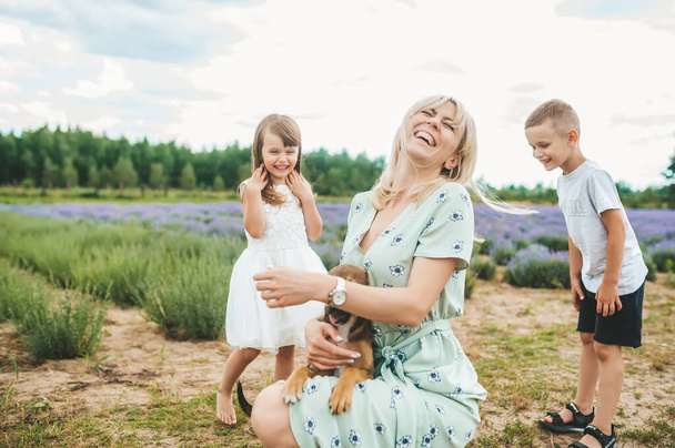 Matka bawić się z jego dwójką dzieci i ich pies w wiosce w pobliżu pola lawendy. - Zdjęcie, obraz