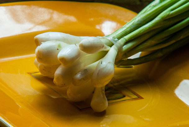 bunch of fresh green onions lies on an orange plate. Cooking food. - Foto, imagen