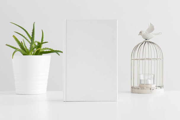 Modèle de livre blanc avec une plante succulente et un bougeoir sur une table blanche. - Photo, image
