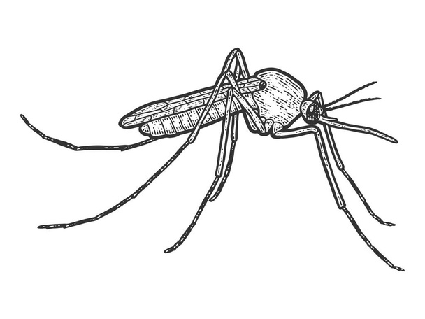 蚊の昆虫は隔離された。スケッチスクラッチボードの模倣. - ベクター画像