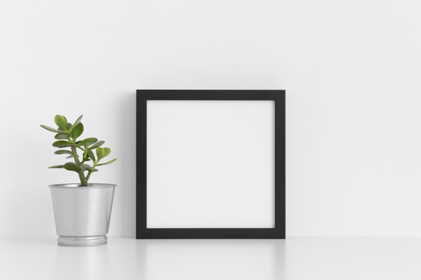 Zwarte vierkante frame mockup met een crassula in een pot op een witte tafel. - Foto, afbeelding
