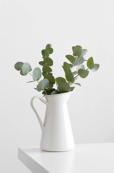 Eucalyptus branches in a vase on a white table. - Fotografie, Obrázek