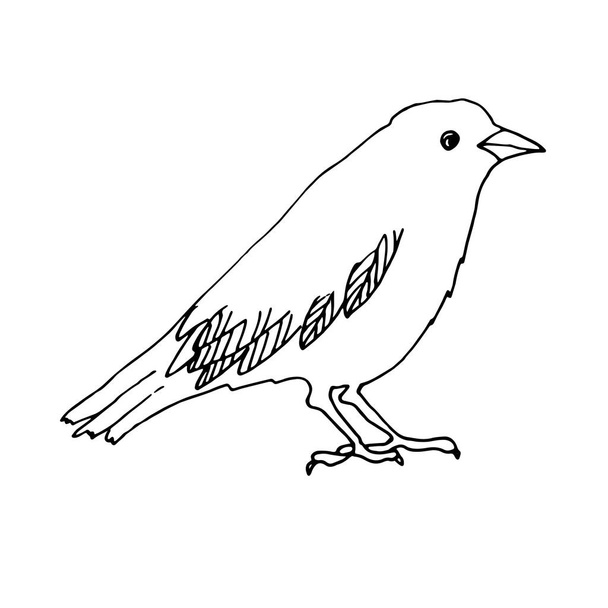 Happy Halloween. Raven bird sitting - vector illustration, logo, emblem black and white, one color. - Vektör, Görsel