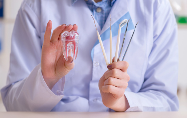 Zahnarzt praktiziert Arbeit am Zahnmodell - Foto, Bild