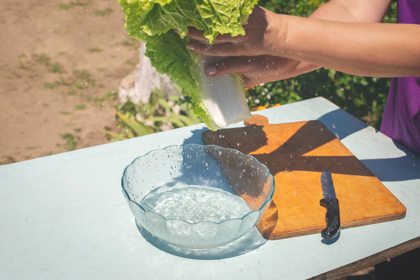 Friss kínai káposztalevelet mosnak vízben, mielőtt salátát főznének.. - Fotó, kép
