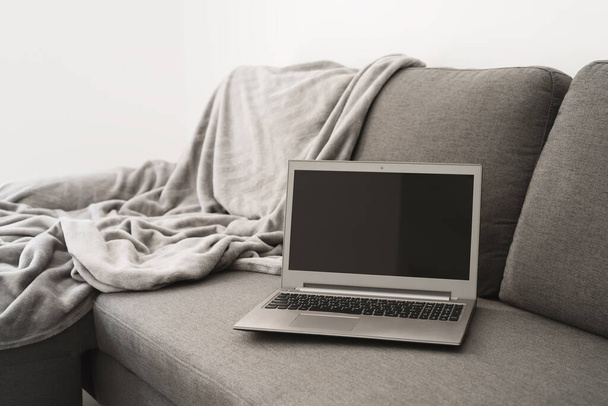 Computer portatile su divano grigio. Lavoro dal concetto di casa - Foto, immagini