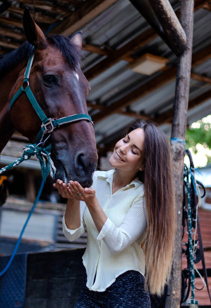 Una bella ragazza bruna si prende cura del suo cavallo nella stalla. Nutrire lo stallone con un po 'd'amore. - Foto, immagini