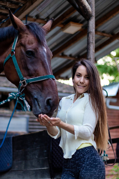 Une belle jeune fille brune s'occupe de son cheval dans l'écurie. Nourrir l'étalon avec un peu d'amour. - Photo, image