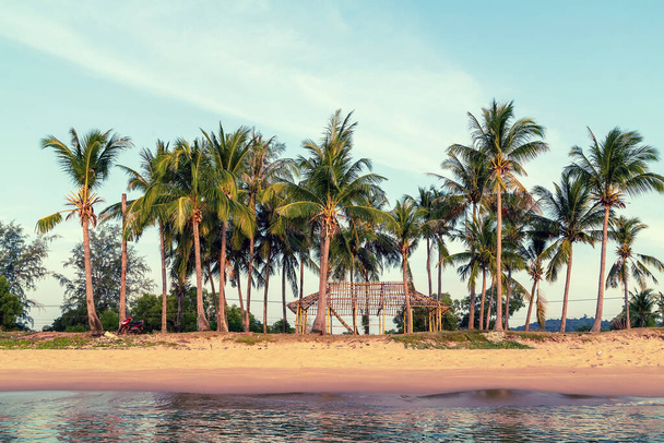 Cabaña de bambú, palmera en la playa de la isla tropical en el fondo cielo azul
. - Foto, imagen