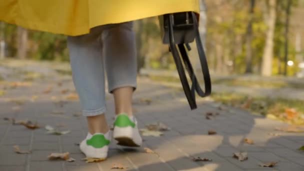 Mujer en zapatillas blancas camina entre el follaje en el parque de otoño
 - Imágenes, Vídeo