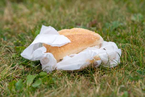Un hamburger buttato fuori sdraiato sull'erba. L'hamburger è parzialmente circondato dal suo involucro. Due piccole formiche visibili. - Foto, immagini