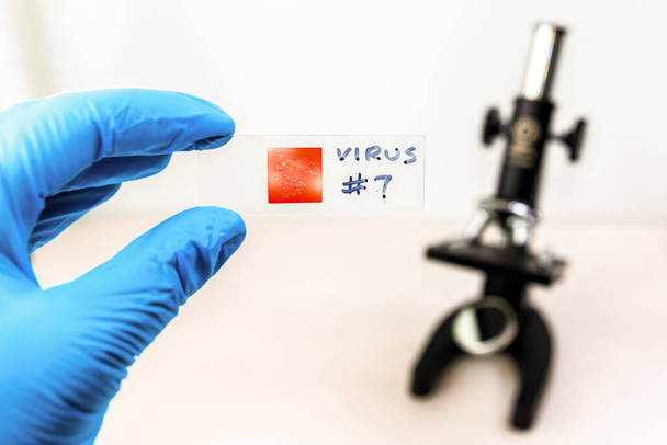Uma mão usando uma luva azul segura um slide de microscópio com VÍRUS # 7 escrito em marcador nele. O vidro de cobertura é vermelho. Microscópio em segundo plano
. - Foto, Imagem