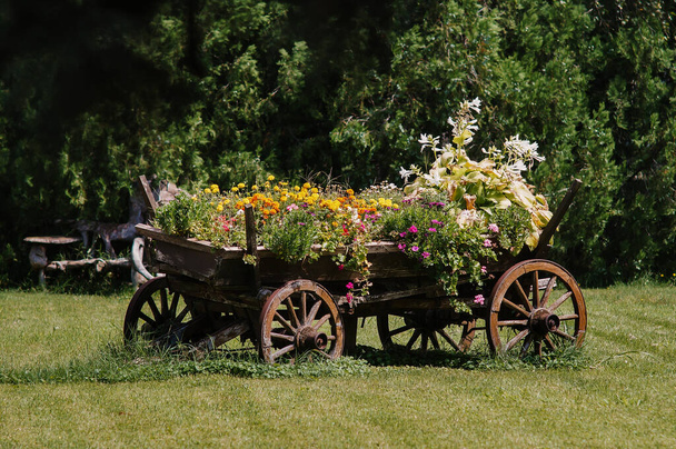 An old wooden car on a lawn with colorful flowers - Foto, afbeelding