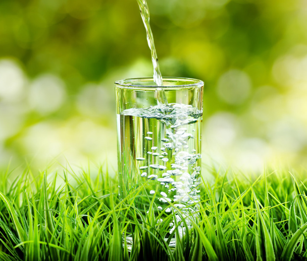 Glass of water on nature background - Foto, Imagen