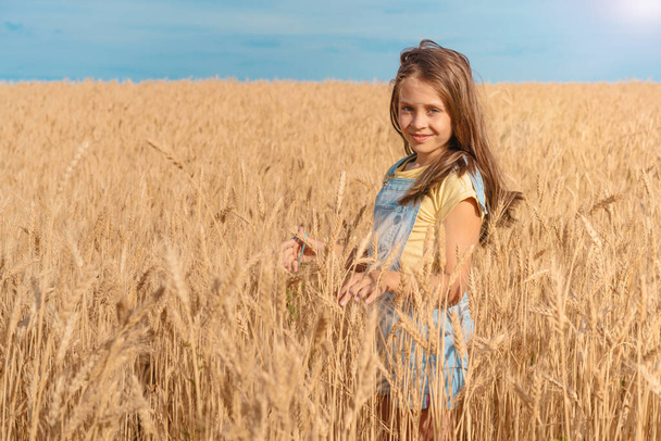 Милая маленькая девочка играет на летнем поле из пшеницы - Фото, изображение