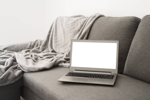 Φορητός υπολογιστής με λευκή οθόνη σε γκρι καναπέ-κρεβάτι στο σαλόνι. Εργασία ή μελέτη από το σπίτι έννοια - Φωτογραφία, εικόνα