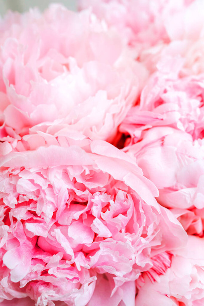 Hermosas peonías flores fondo, rosa y blanco peonías fondo - Foto, Imagen