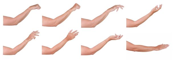 GROUPE de gestes de mains asiatiques masculins et féminins isolés sur fond blanc.  - Photo, image
