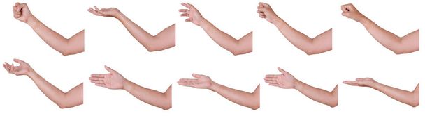 Чоловічі азіатські жести рук ізольовані на білому тлі
.  - Фото, зображення