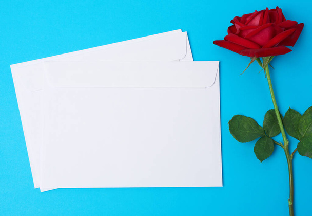 red blooming rose and white paper envelope on a blue background, top view - Foto, afbeelding