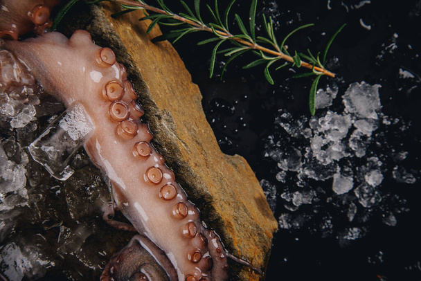 Whole raw octopus on a stone table - Foto, Imagen