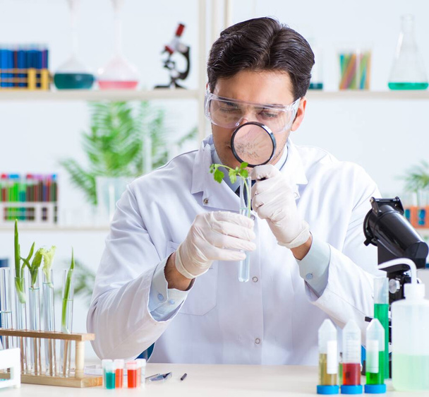 Male biochemist working in the lab on plants - Foto, Imagen