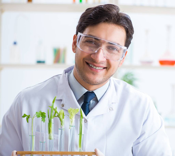 Biochimiste masculin travaillant en laboratoire sur les plantes - Photo, image