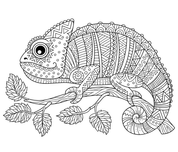 Libro da colorare vettoriale per adulti, camaleonte di contorno su un ramo isolato su sfondo bianco. Modelli e piccoli dettagli per la pagina da colorare - Vettoriali, immagini