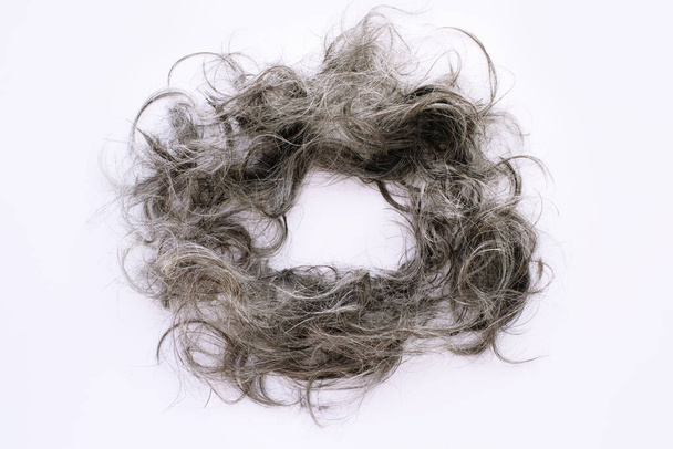 Freshly taglio di sfondo capelli grigi su bianco - Foto, immagini