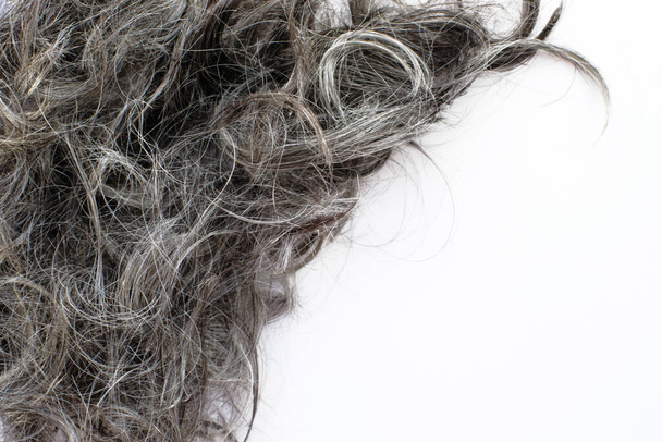 Φρεσκοκομμένα γκρίζα μαλλιά φόντο πάνω από λευκό - Φωτογραφία, εικόνα
