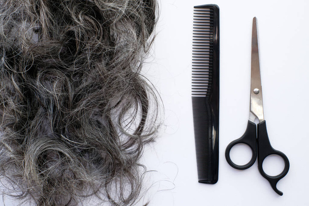Fondo de pelo gris recién cortado sobre blanco con tijeras y peine
 - Foto, Imagen