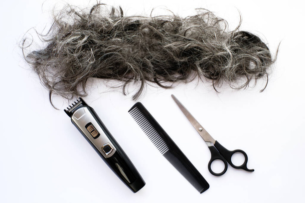 Fraîchement coupé fond de cheveux gris sur blanc avec ciseaux et peigne - Photo, image