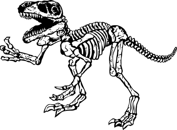 T-rex dinosaur skeleton illustration, vector. - Vector, Image
