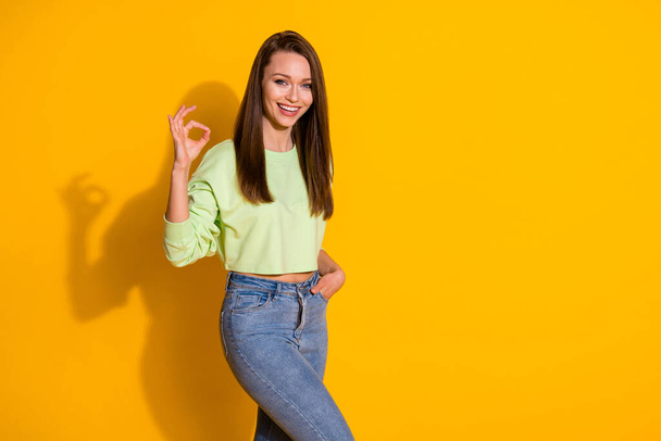 Portrait of positive cheerful confident girl approve ideal ads promotion show okay sign wear good look clothes isolated over bright shine color background - Φωτογραφία, εικόνα