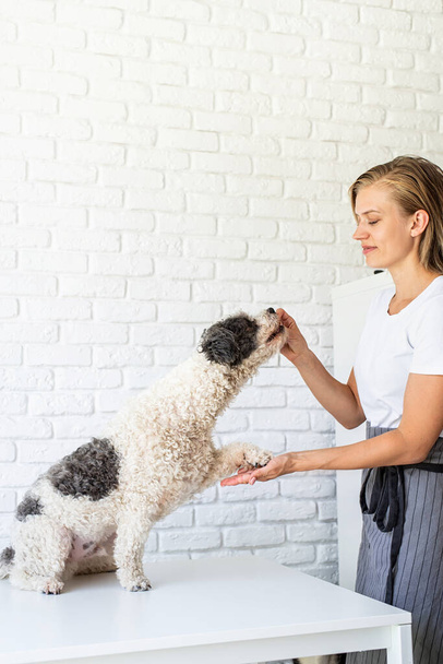 Φροντίδα κατοικίδιων. Νεαρή χαμογελαστή γυναίκα δίνει στο σκύλο της ένα σνακ - Φωτογραφία, εικόνα