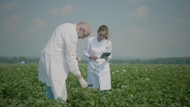 Científicos que investigan el campo agrícola
 - Imágenes, Vídeo