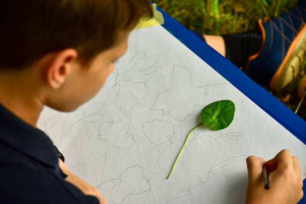Pintor adolescente dibuja hojas en la naturaleza
. - Foto, Imagen