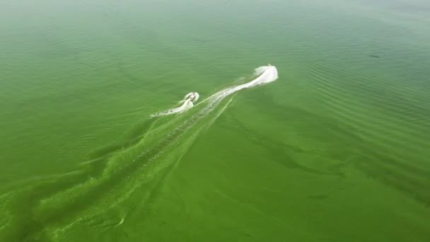 Δύο άνθρωποι στα τζετ σκι τρέχουν σε όλη τη φωτεινή πράσινη επιφάνεια του νερού με κύματα. Πυροβολισμός με βόμβα. Άποψη από ψηλά - Πλάνα, βίντεο