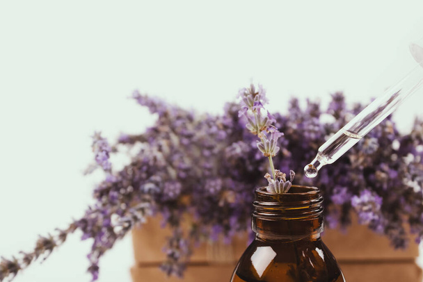 Tropfflasche mit ätherischem Lavendelöl und defokussierten Lavendelblüten als Hintergrund mit Textkopien. Trendy getöntes Foto für Ihren Blog, Präsentation - Foto, Bild