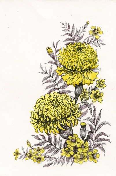 Yellow chrysanthemum - Foto, Imagen