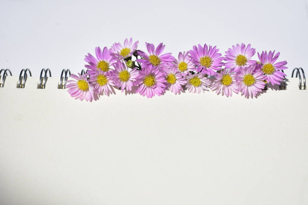 Schönes europäisches Michaelmas-Gänseblümchen-Arrangement im Spiralheft, weißer Papierhintergrund, sonnig, warm, romantisch, flach, von oben - Foto, Bild