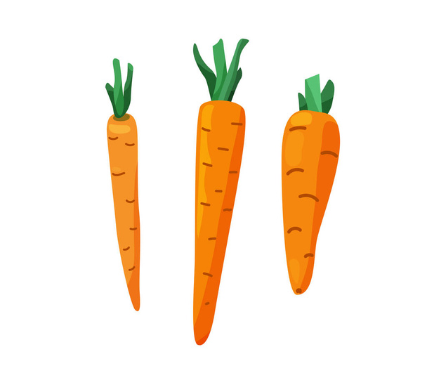 Три морквини з розрізаними листям в яскравому кольорі мультяшного плоского стилю ізольовані на білому тлі. Здорова їжа Векторні ілюстрації. Концепція органічної їжі
 - Вектор, зображення